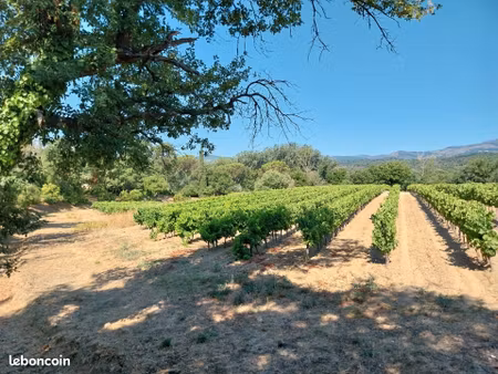 terrain 667 m² cogolin