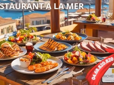fonds de commerce restaurant pyrenees orientales