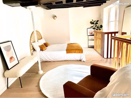 appartement en duplex à louer (vieux lille)