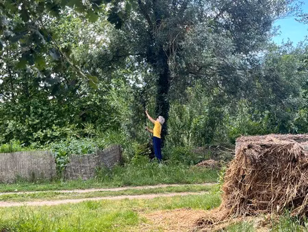 terrain de loisir et potager