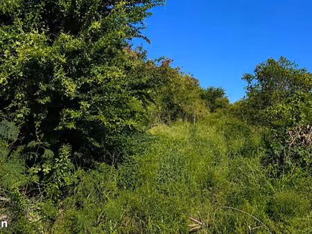 terrain 1918 m² l'étang-salé