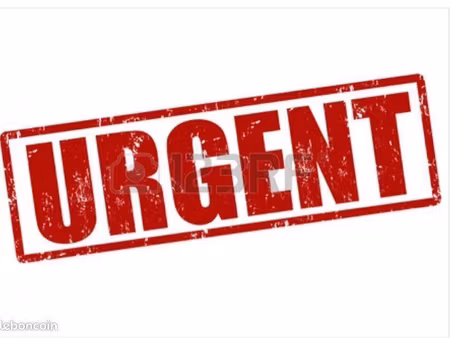 recherche appartement avant septembre