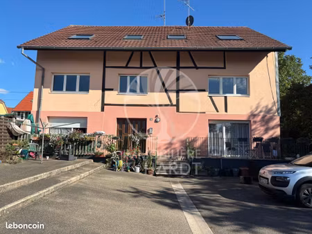 immeuble 542 m² dannemarie