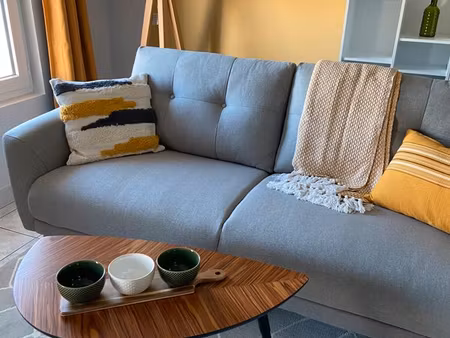 appartement t2 meublé 45 m2 centre ville