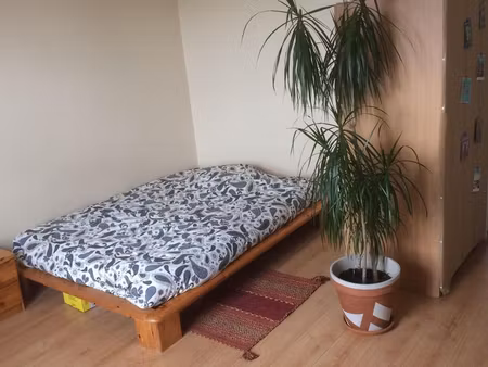 appartement t1 de 35 m² meublé