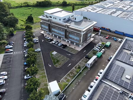 local 75 m² les abymes
