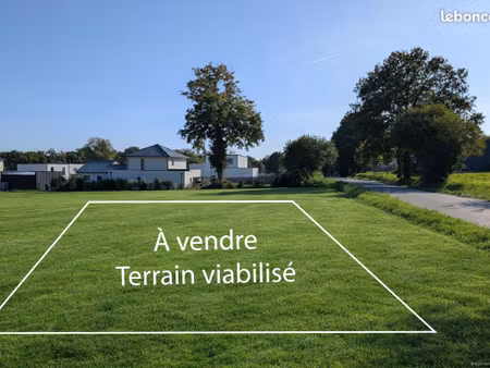 terrain viabilisé