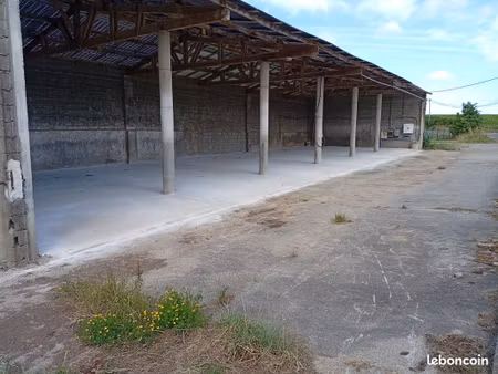 hangar 300 m2