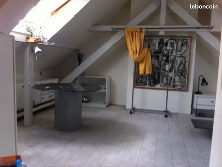 appartement 2 pièces robertsau strasbourg
