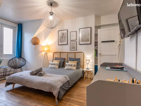 studio meublé rénové - blois vienne - 30 mètres carrés -dernier étage  13 minutes de l'ins