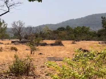 3parcelles a vendre guinée ??
