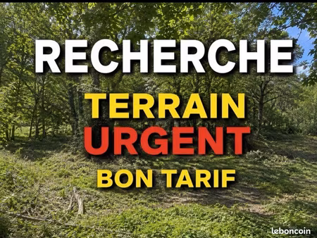 recherche terrain urgent