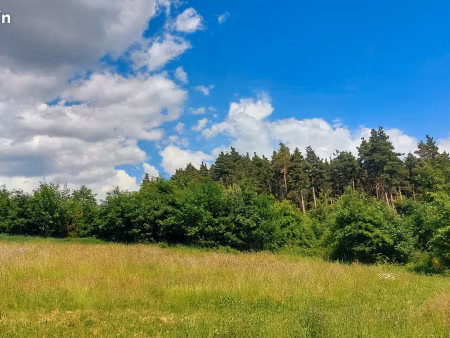 2 5 ha de parcelles forestières entre lapte et sainte-sigolene 43 - bonne exposition et ac
