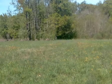 ? pré + partie boisée ~ 6000 m² – secteur langeais