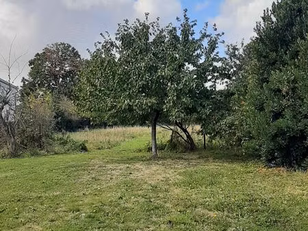 thieulloy l'abbaye 80640 3 km autoroute beau terrain a batir paysager plat   borde d'une h
