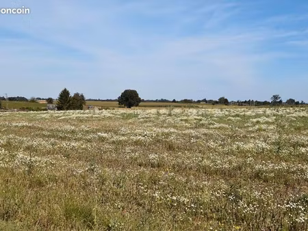 terrain 900 m² auberville la campagne