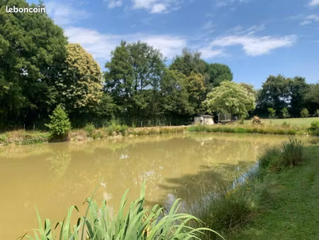terrain de loisirs+ etang