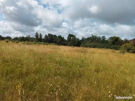 pré pour chevaux à louer