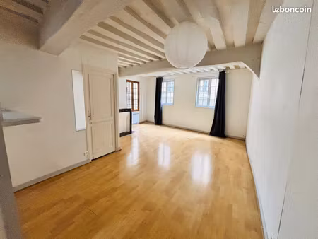 très grand f1 38m2 - charme - quartier antiquaires