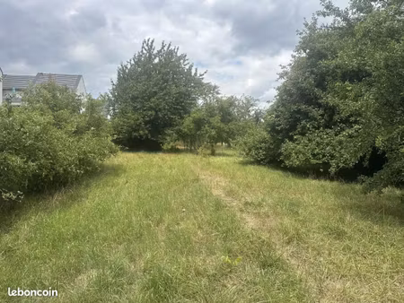 terrain 1 051 m² grosbliederstroff