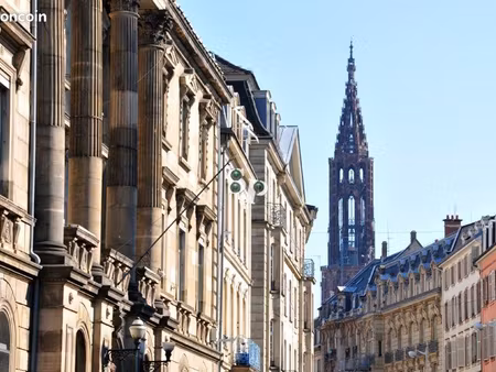 strasbourg hyper centre - appartement en duplex 3 pièces 69 m²