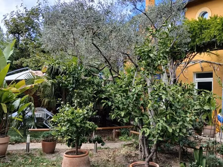mas provençal à carpentras