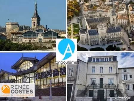 maison en viager 3 pièces 339 m²
