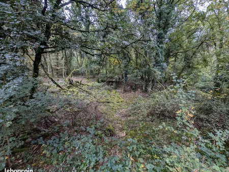 parcelles foret proche dijon idéal terrain de loisir