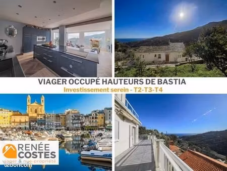 maison en viager 9 pièces 324 m²