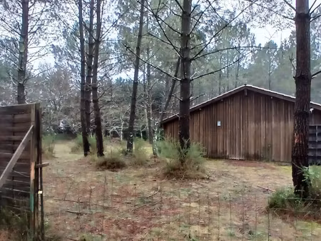 grand bâtiment en bois