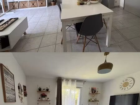 appartement t3 avec jardin blagnac