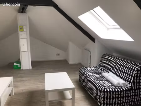 loft 1 pièce 42 m²