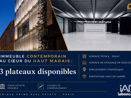 murs commerciaux 500 m² paris