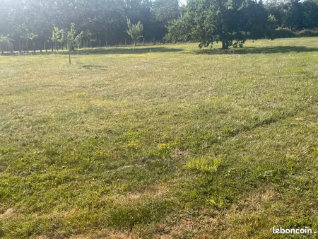 terrain constructible