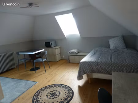 studio meuble pour étudiant rive gauche  rue adjacente à la rue de la paix   calme  lumine