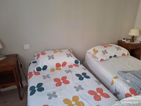 location maison centre ville pour étudiants. colocation possible