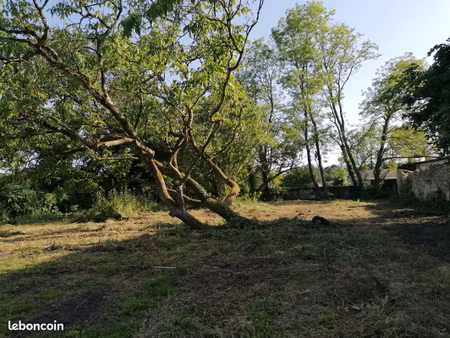 terrain constructible piscinable ( non viabilisé )