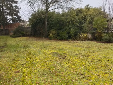 très joli terrain