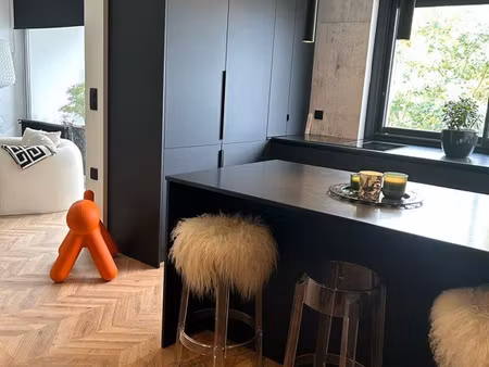 appartement 2 pièces - 46m2 - mulhouse limite riedisheim