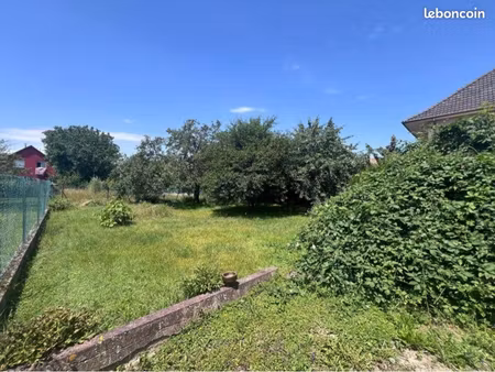 terrain constructible illkirch libre d’architecte 2 eme ligne 380 m²