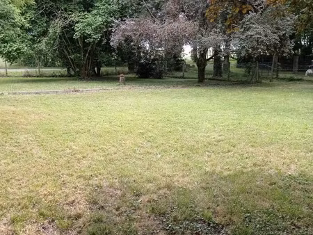terrain arboré