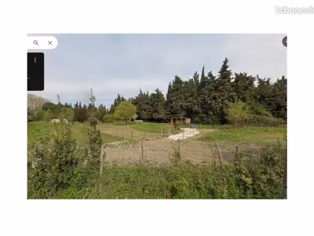 terrain pour chevaux
