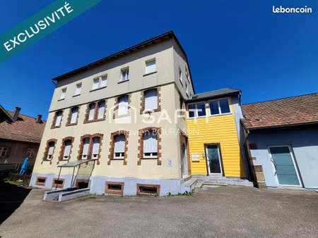 immeuble 450 m² sainte-marie-aux-mines