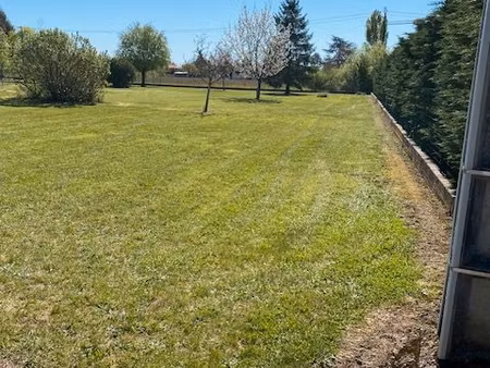 terrain plat arboré
