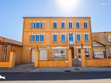 hotel particulier 17 pièces 500 m²