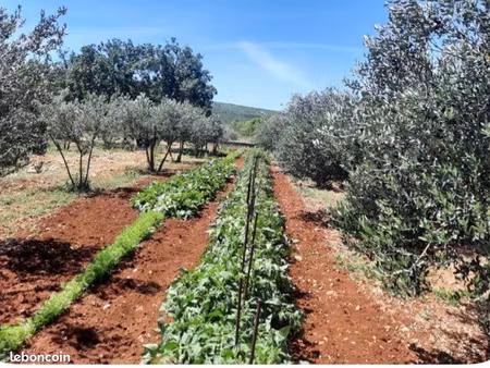 recherche terrain agricole