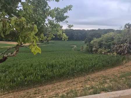 loue maison avec deux chambres aménagées en studio
