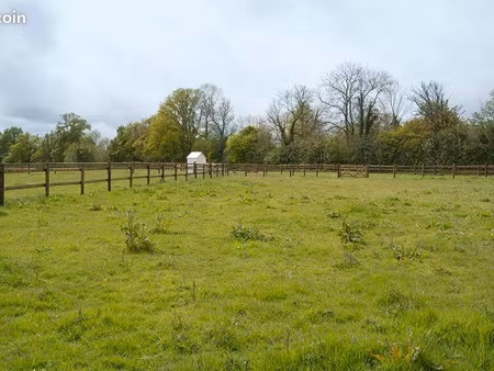 recherche pré / terrain agricole à louer pour cheval