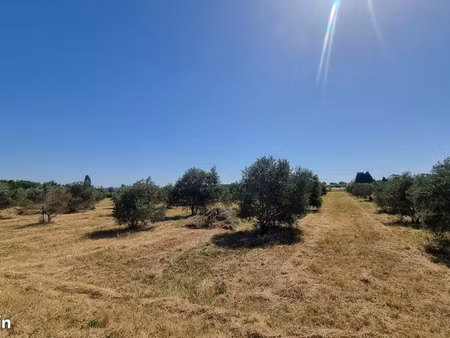 terrain 10040 m² canet