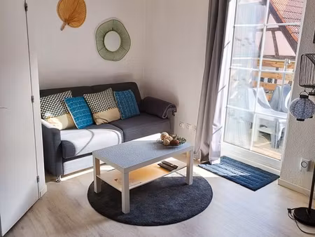 f2 meublé duplex schiltigheim calme petite copropriété grand balcon bois
